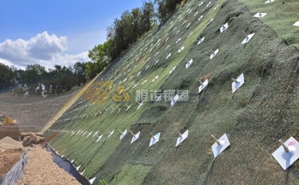 護(hù)坡錨桿一般打多深